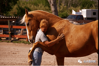 如何获得"马儿的抱抱"