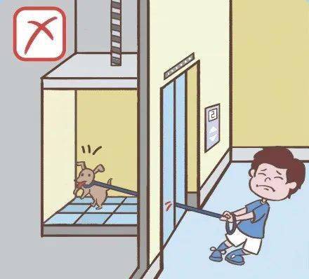 每日科普||携宠物乘电梯,稍不留"绳"意外来!
