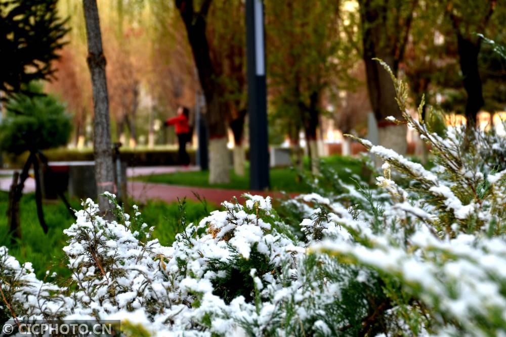 在甘肃省酒泉市肃州区,人们在雨雪天气中出行.cicphoto/万宗平 摄