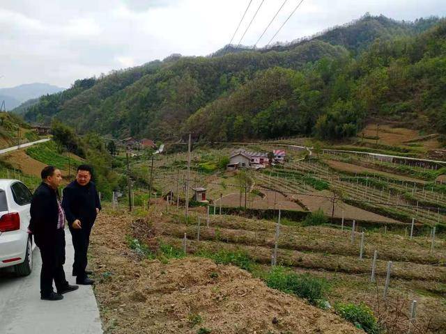 陕西省汉阴县铁佛寺镇:生态美,产业兴,群众富