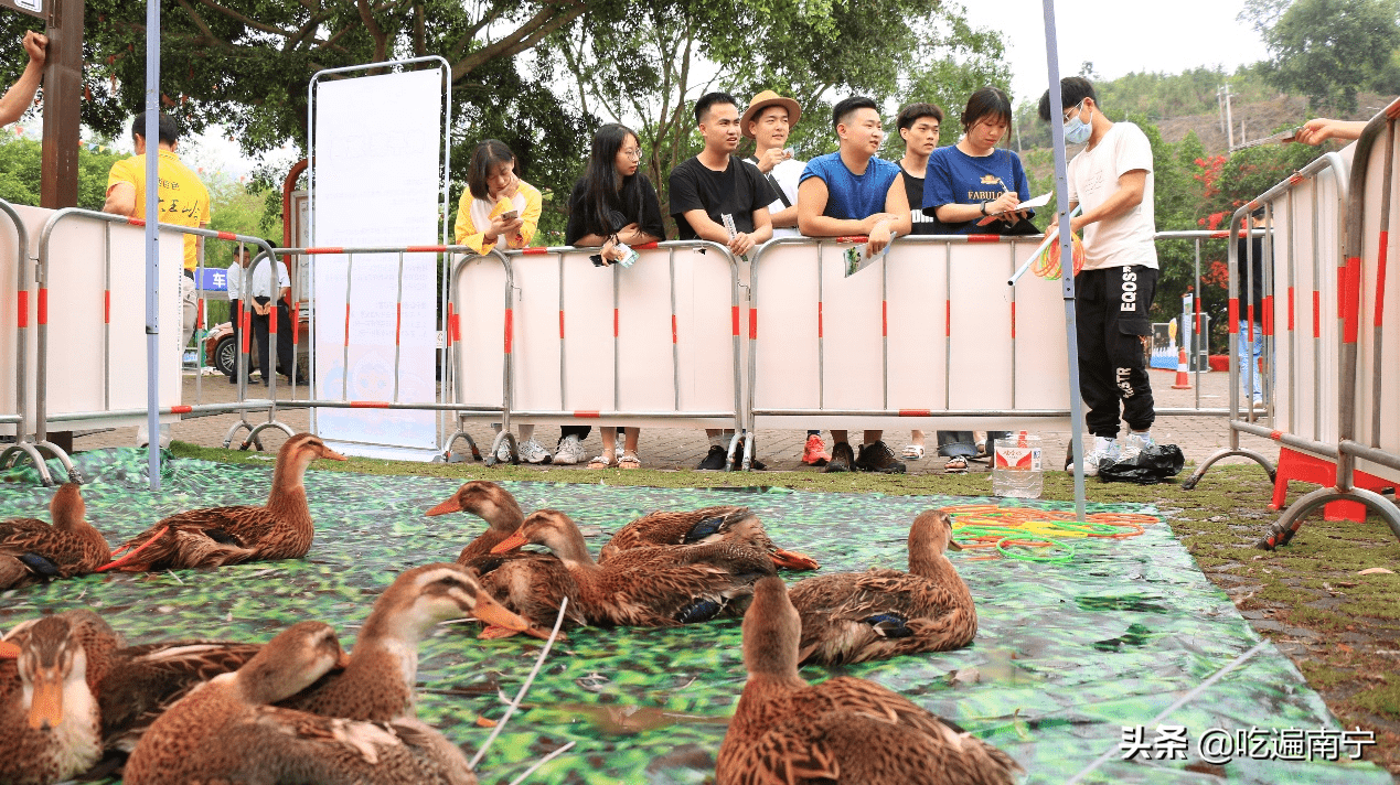 图注:元气套鸭活动人气颇高