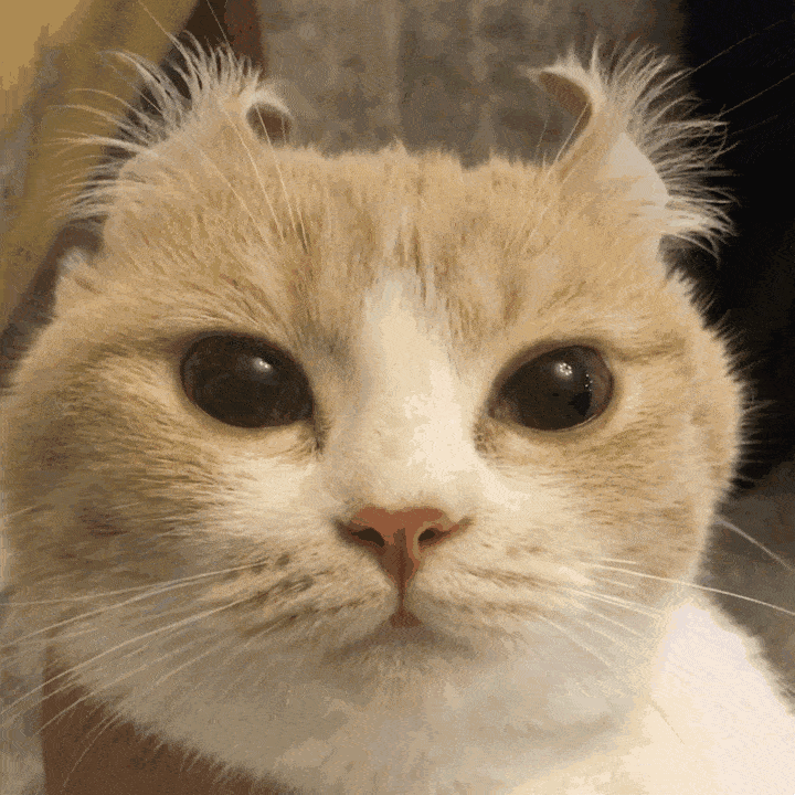 韶关这些值得一去的农家乐风景美,菜品佳,最快15分钟车程即可拥有!