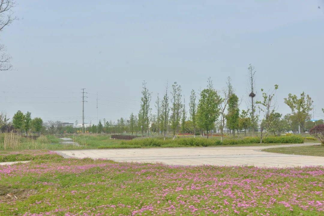 荒地野塘变身绿野仙踪丹阳又多一个休闲的好去处