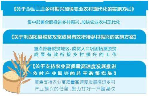 【政策解读】巩固拓展脱贫攻坚成果 全面推进乡村振兴—省委"三农"