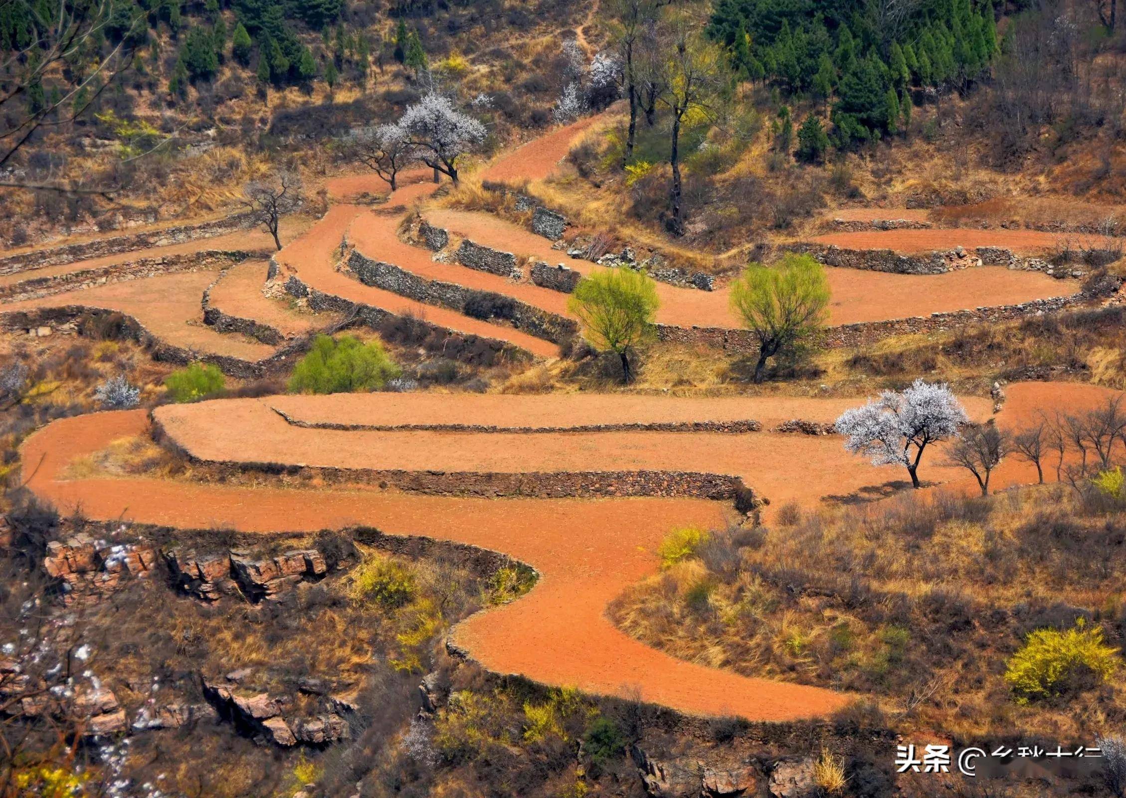 太行春天之乡村梯田(一)