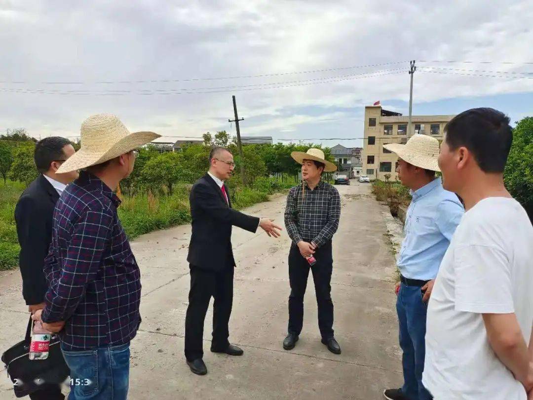 副区长夏志坚到岭下镇检查"非粮化"整治工作进展情况.