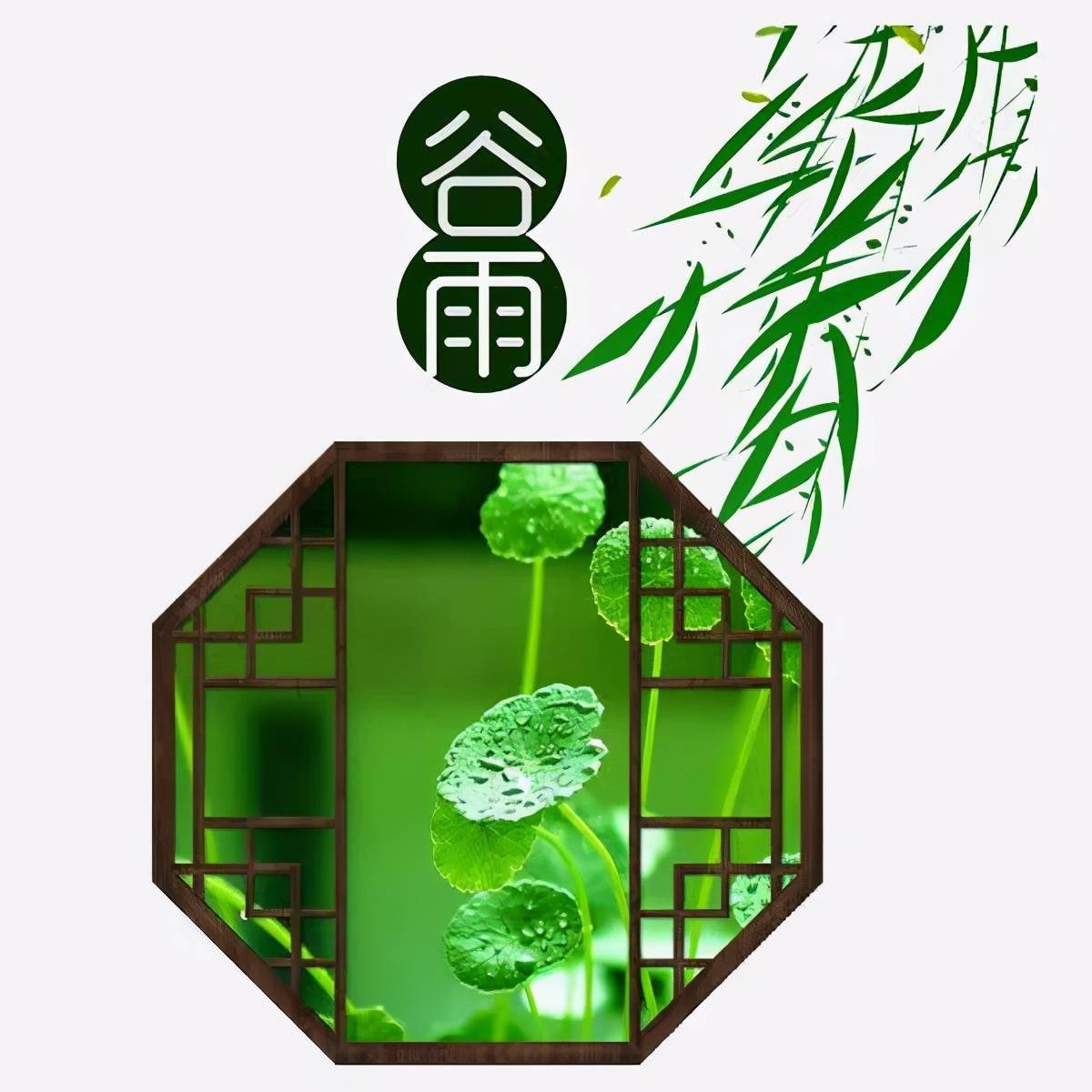 谷雨时节雨菲菲,愿你幸福好滋味,早安_问候