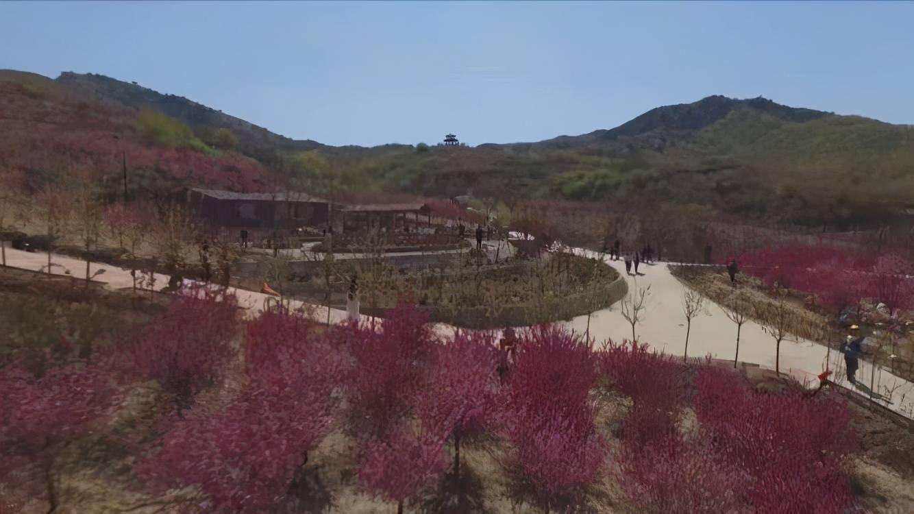 盖州芙蓉山景区:万亩樱花竞相绽放 成网红打卡地