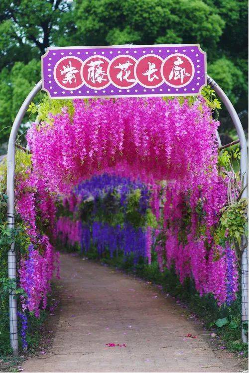 宜春花博园福利来袭!