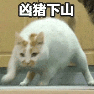 搞笑微信表情包