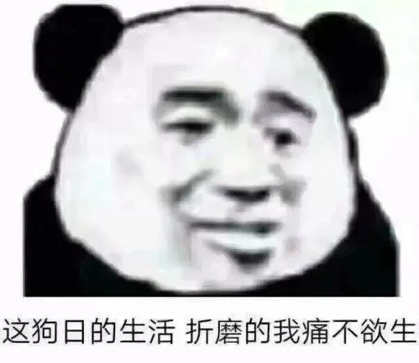 沙雕表情|小老弟,格局小了