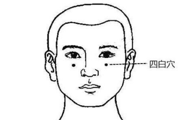 四白穴:位于人体面部,瞳孔正中央下约二厘米处