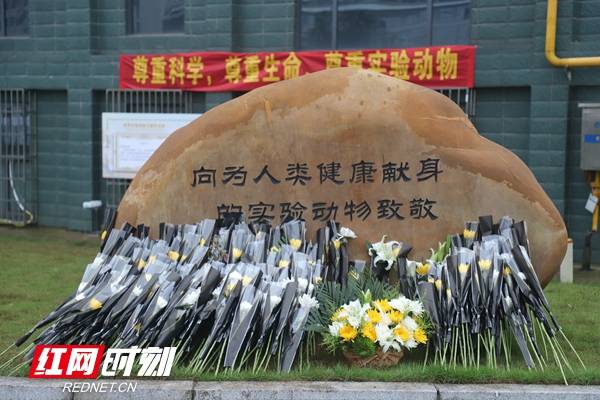 "世界实验动物日",湖南中医药大学师生致敬"动物英雄"