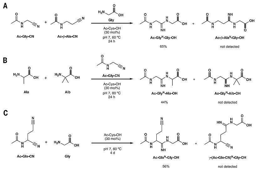 作者提出了他们的猜测(上图a ii),并以n-乙酰半胱氨酸(ac-cys-oh)为