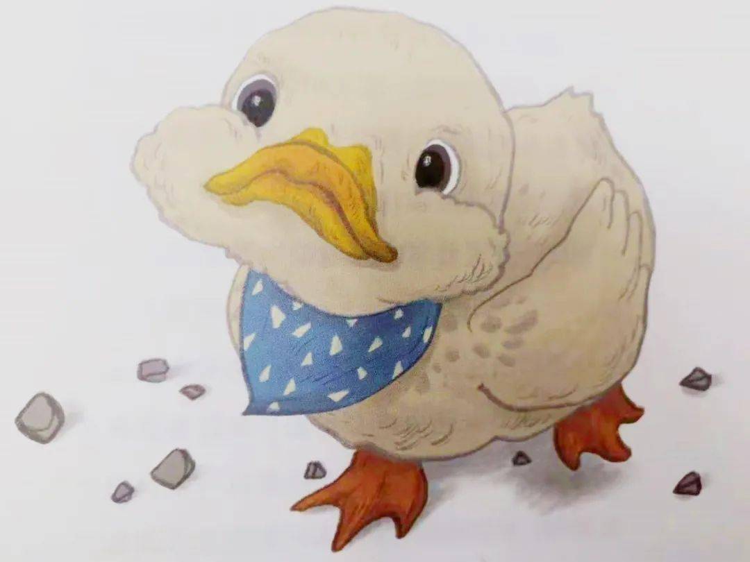 我想养一只鸭子整本书阅读欣赏