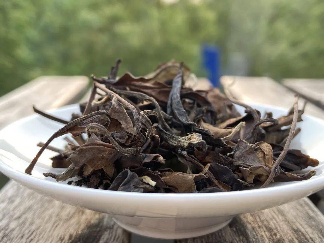 10年老白茶散茶存储转化诱人蜜枣香