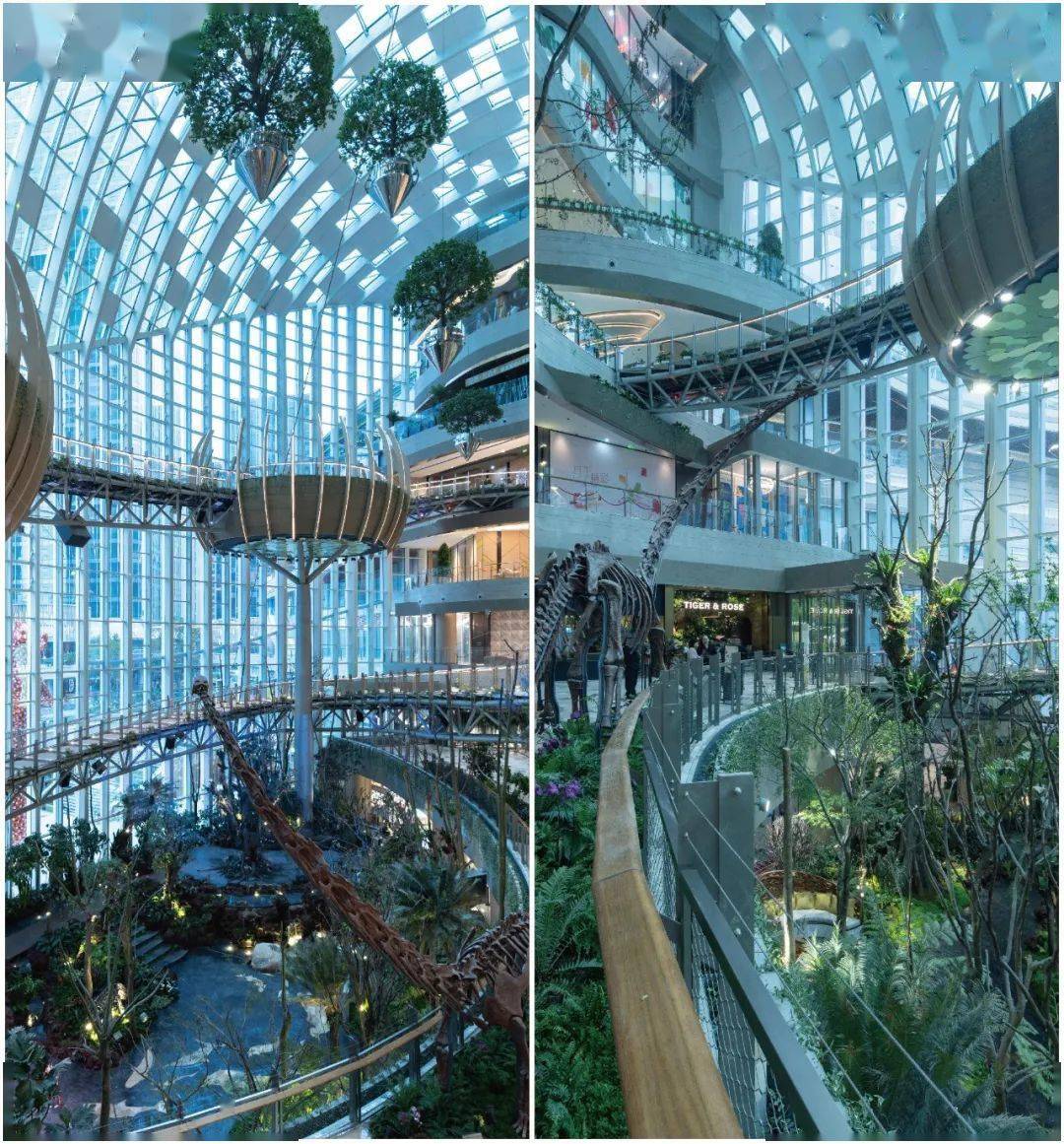 香港置地光环首秀:那个把森林和瀑布搬进购物中心的重庆光环购物公园