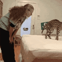 搞笑GIF:猴哥你变了