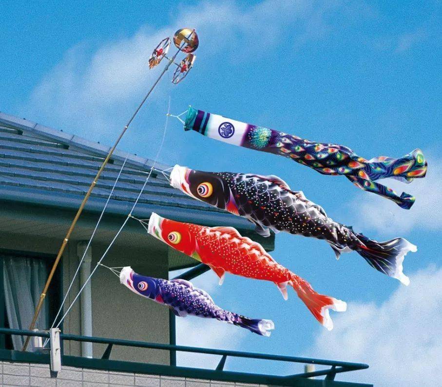 日本再发现儿童节挂鲤鱼旗到底有什么含义