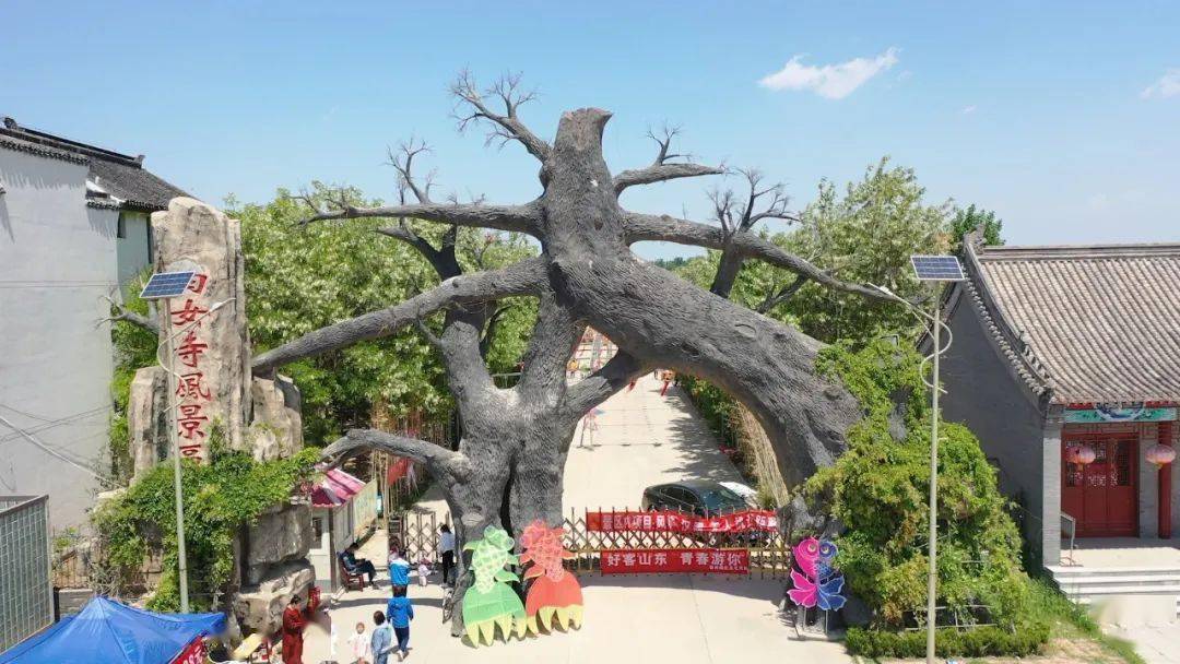 五一假期小长假到了  武城县四女寺风景区"人气爆棚" 迎来了旅游旺季