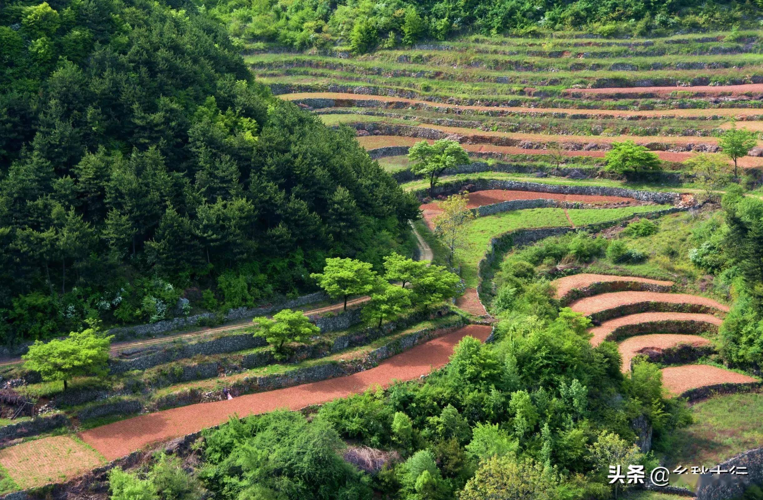 太行春天之乡村梯田(三)