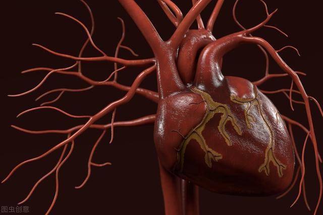 心脏造影有哪些危害和风险?什么样的人才适合做心脏造影检查?
