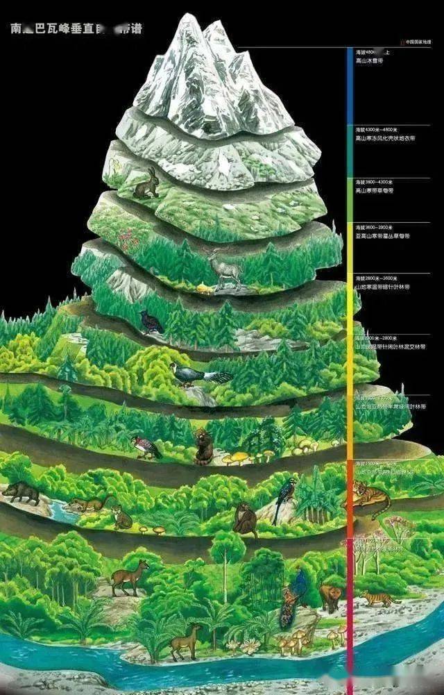 3.影响山地垂直自然带谱复杂程度的因素