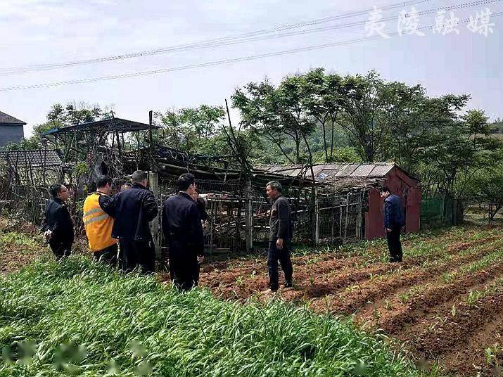 鸦鹊岭镇执法分局开展铁路安全隐患整治工作_夷陵区