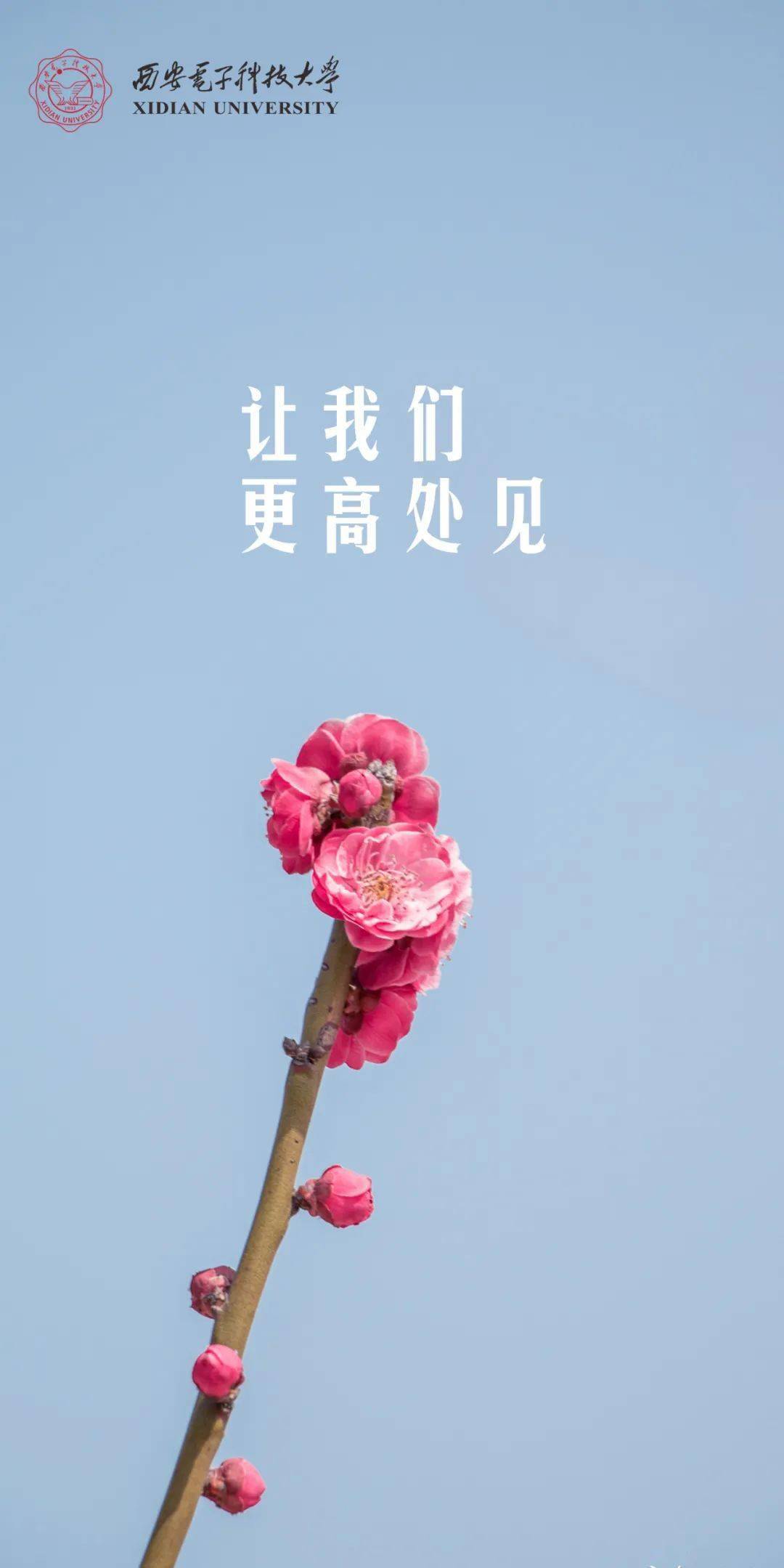 约好了!最后30天,西电期待与你相见