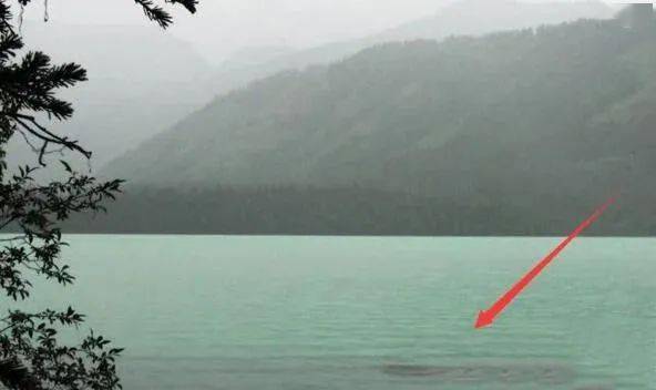 新疆喀纳斯湖水怪真相曝光,是这个体长15米的大红鱼?