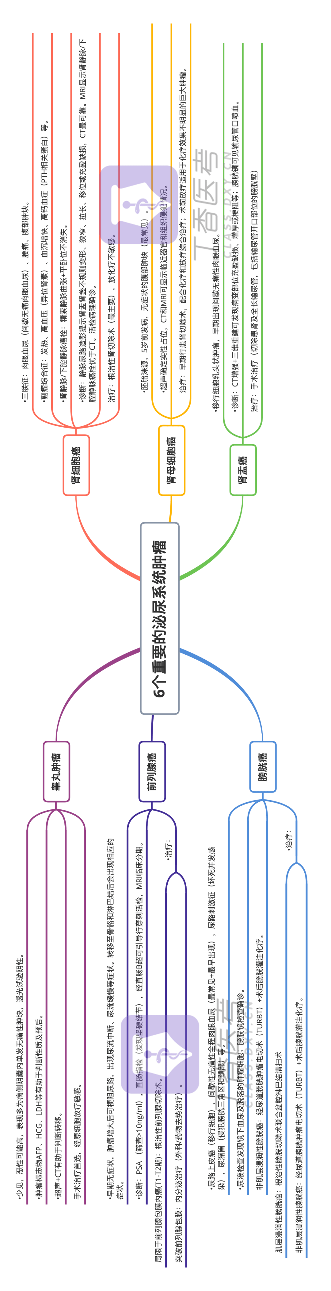 思维导图| 6 个重要的泌尿系统肿瘤