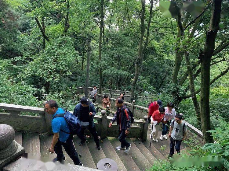 素心记道教名山一一永嘉乌牛东蒙山67