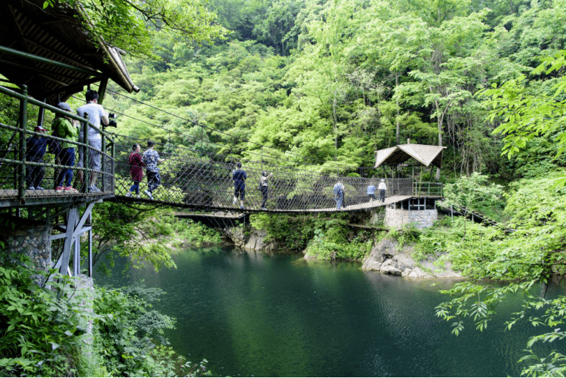 醉山野