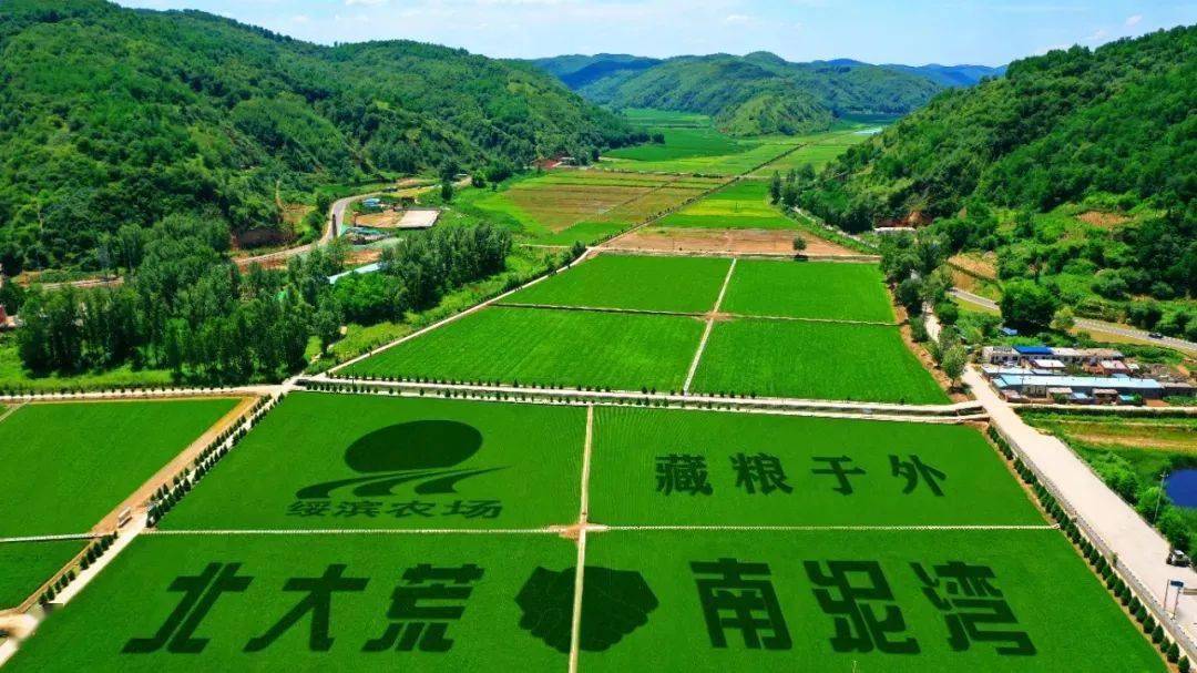 垦地合作,北大荒释放现代农业巨能量