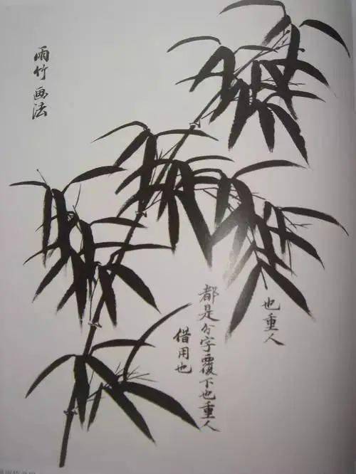 67竹子画法:一步步学会画竹子!_竹叶