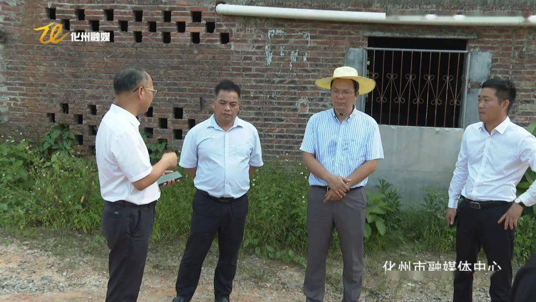 何林国到良光镇调研督导镇,村级生活污水净化设施建设