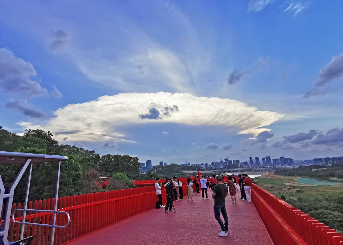 美得不像话,深圳傍晚天空现"飞碟"_虹桥公园