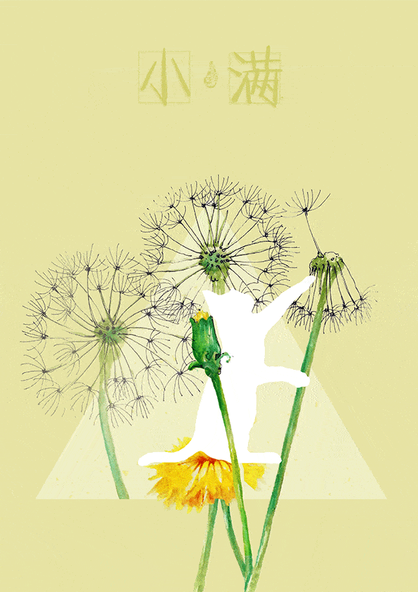 595_842 竖版 竖屏