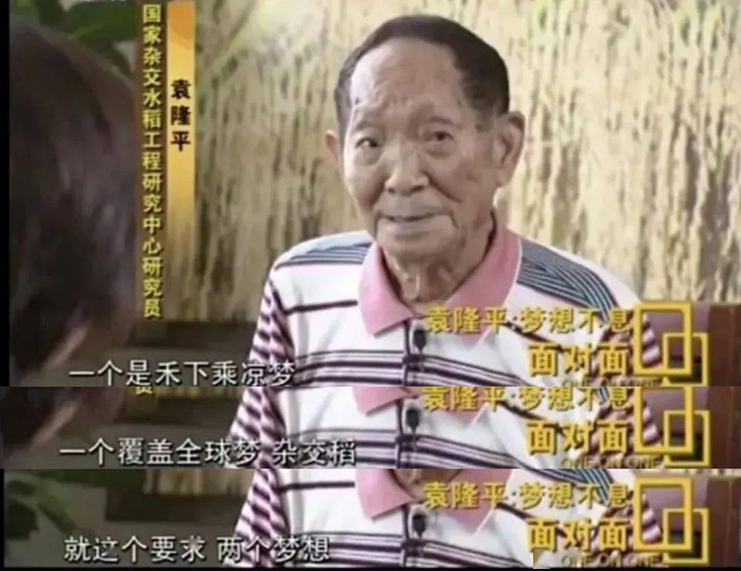 另一个是禾下乘凉梦