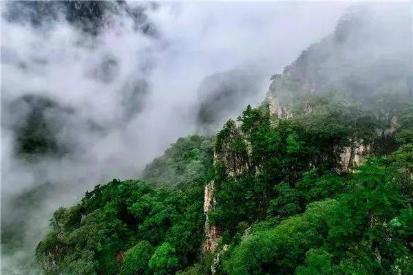 蕴藏的生物资源和旅游景观不胜枚举 牛背梁地处秦岭南麓的柞水县