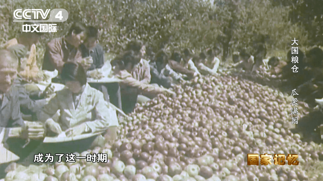 纪录片《大国粮仓》第九集——瓜果满园