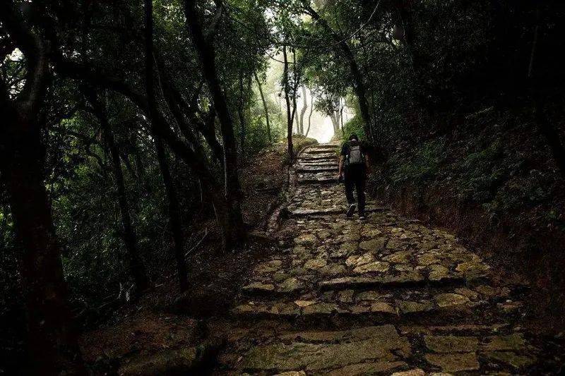 【岐澳古道】6月5日周六 寻访中山岐澳古道 品尝地道美味乳鸽