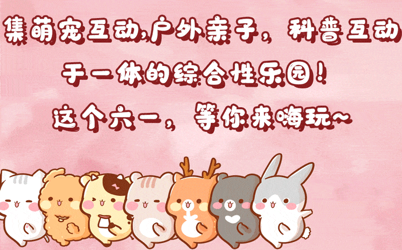昆明超in遛娃圣地萌翻全城六月第①份治愈就在古滇朵拉萌宠乐园