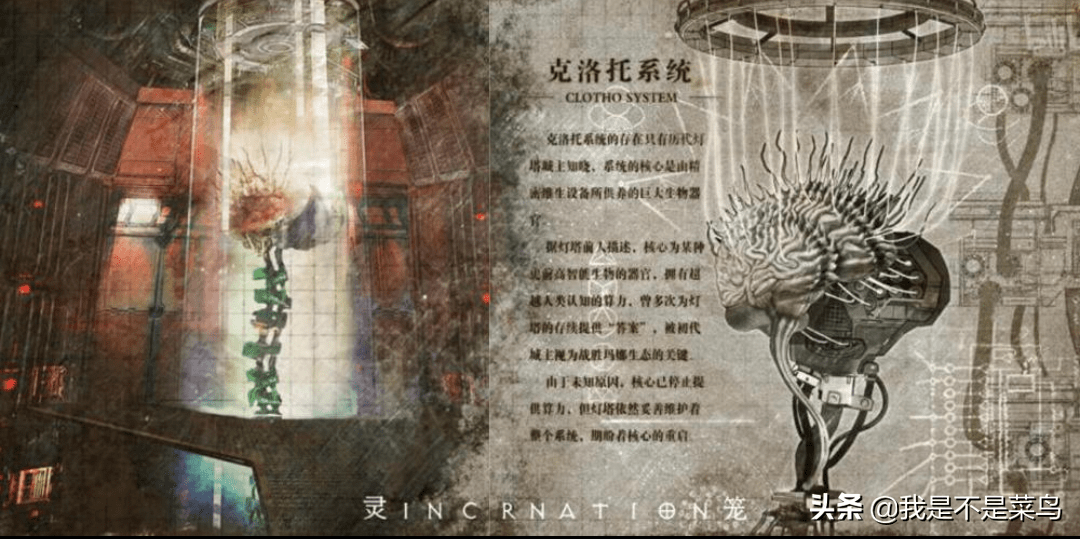 灵笼何为克洛托系统揭秘能计算未来的巨大生物器官