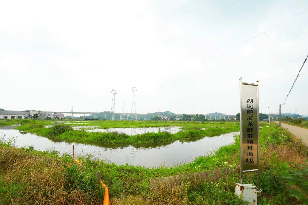 村民自筹自建美丽屋场,望城这个乡村即将美"出圈.