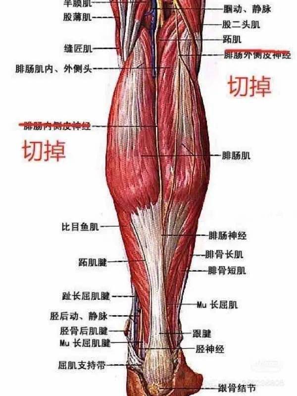 杨幂与前度复合?怎么大家都同意啊