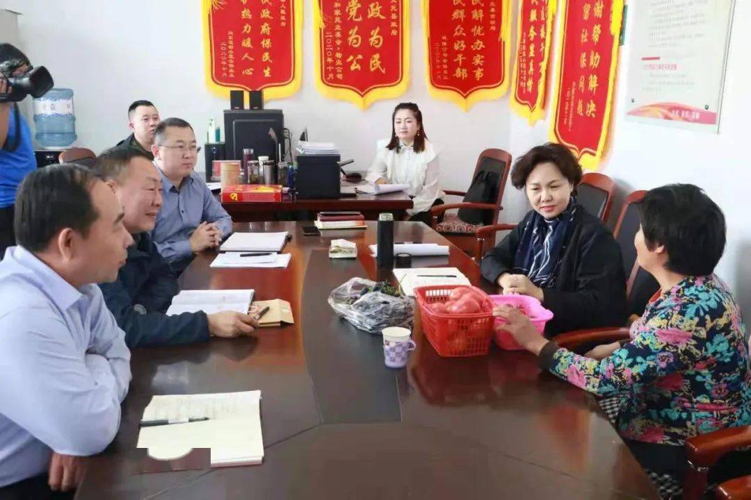 托克托县县委书记李春燕调研信访工作