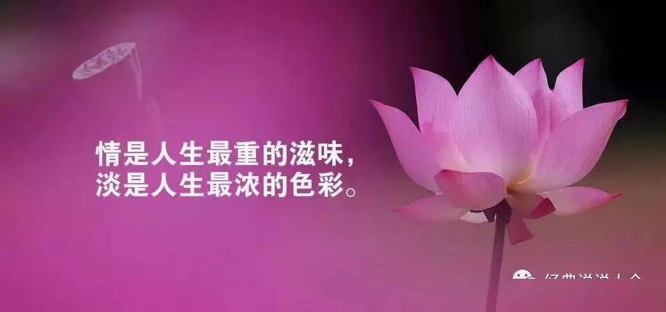 一个人难过的说说 你不懂,我的难过