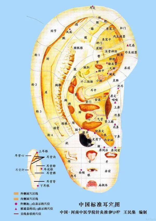 耳朵上出现这些特征,是大病的征兆!