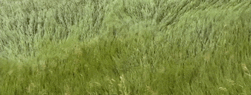 500_189